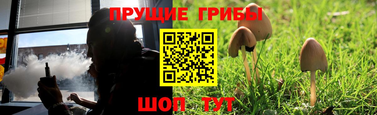 Псилоцибиновые грибы Magic Shrooms  Галлюциногенные грибы прущие грибы  Мыски  Вход с VPN 
