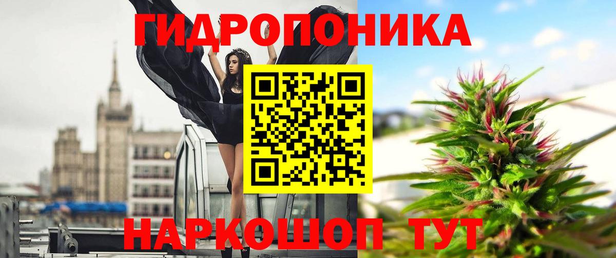 Шишки марихуана семена  Бошки Шишки SATIVA & INDICA  Мыски  Вход с VPN  Шишки марихуана Bruce Banner 